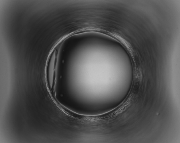 X0000097950910200803241151
