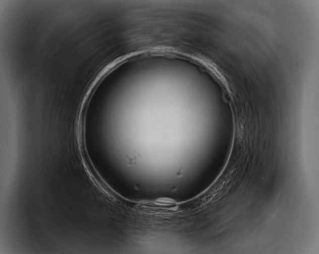 X0000097950911200803241151
