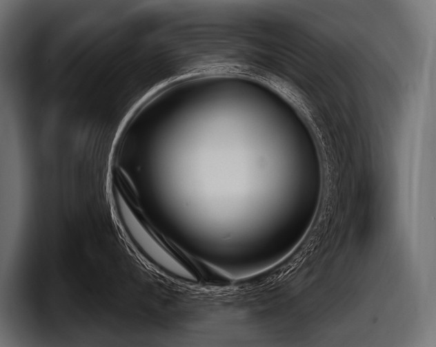 X0000097950912200803241151