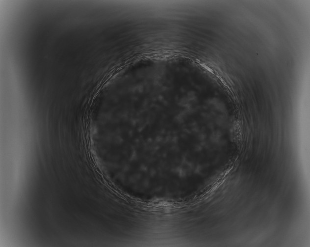 X0000097950913200803241150