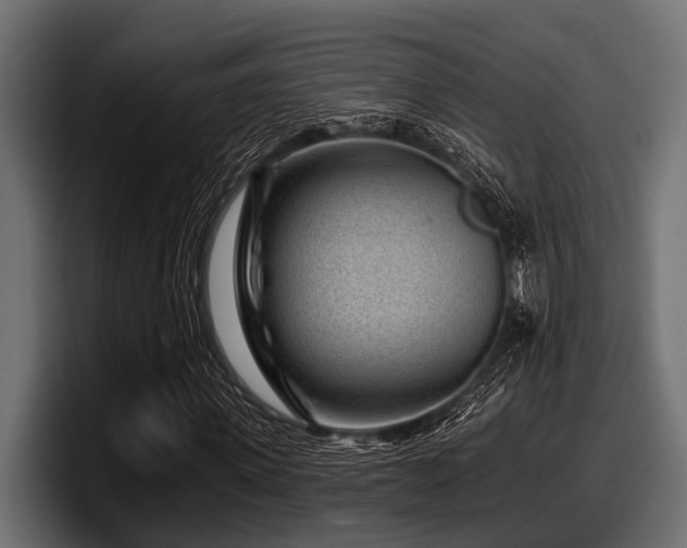 X0000097950915200803241150