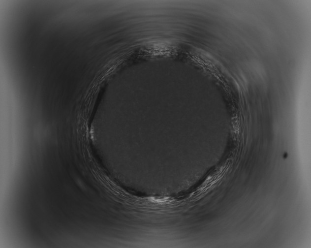 X0000097950916200803241150