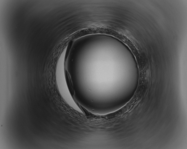 X0000097950919200803241150