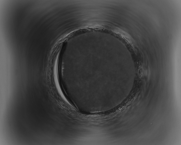 X0000097950920200803241150