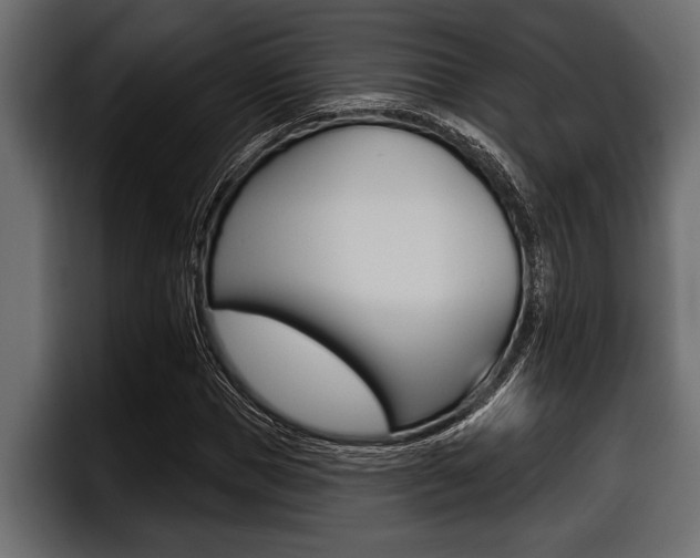 X0000097950921200803241150