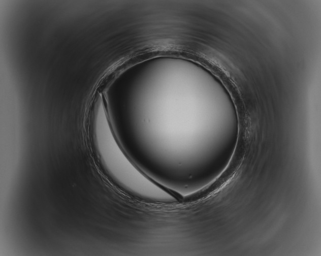 X0000097950922200803241150
