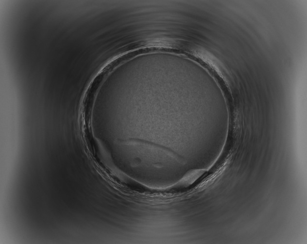 X0000097950923200803241150