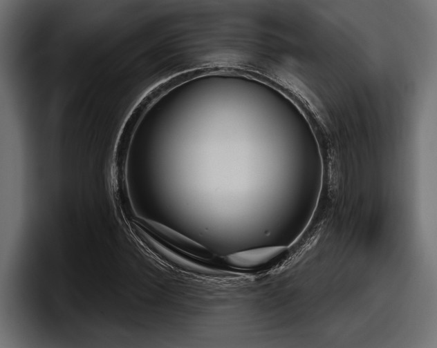 X0000097950924200803241150