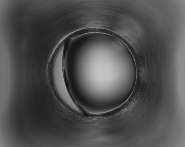 X0000097950926200803241150