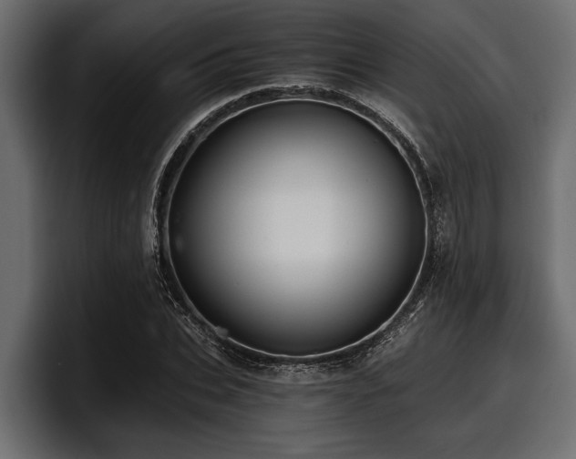 X0000097950927200803241150