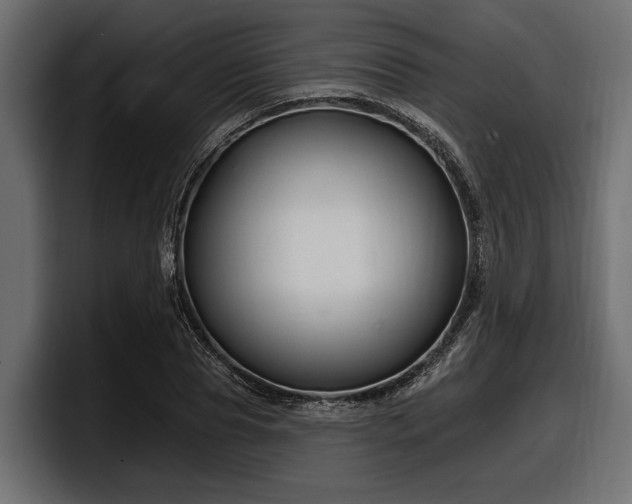 X0000097950929200803241150