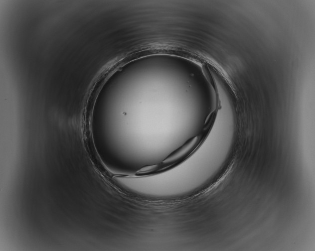 X0000097950930200803241150