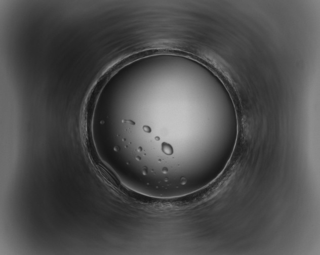 X0000097950931200803241150