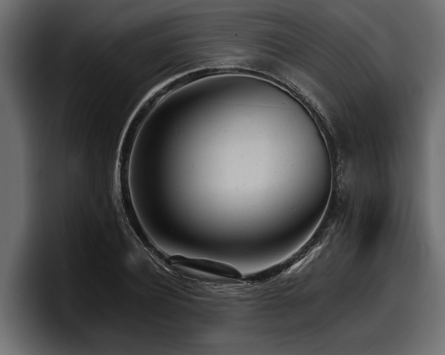 X0000097950932200803241150