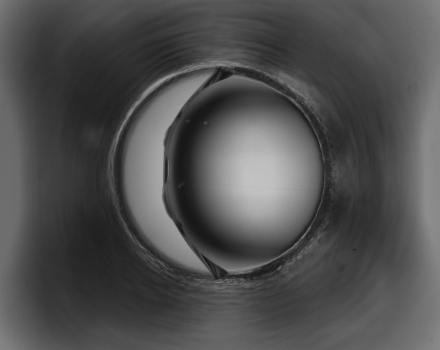 X0000097950934200803241150