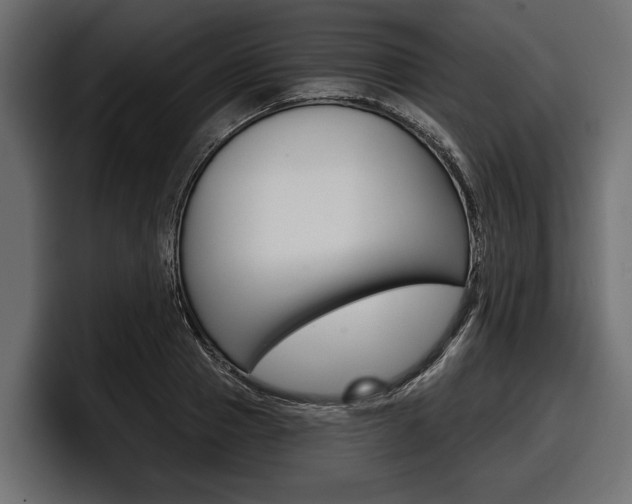 X0000097950937200803241151