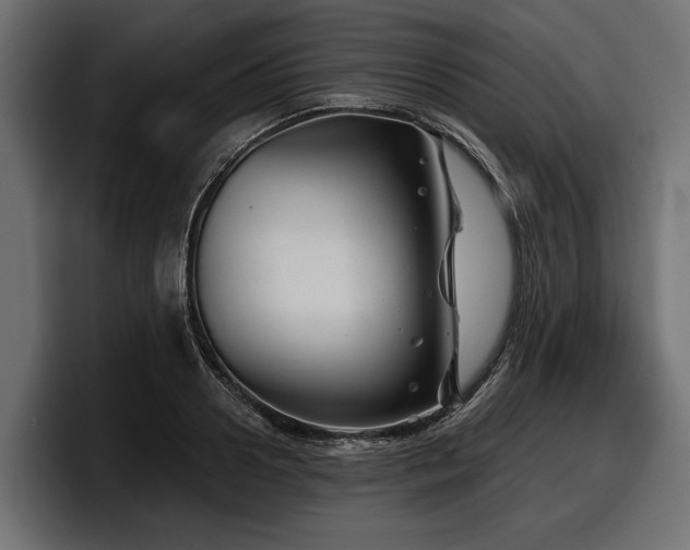 X0000097950938200803241151