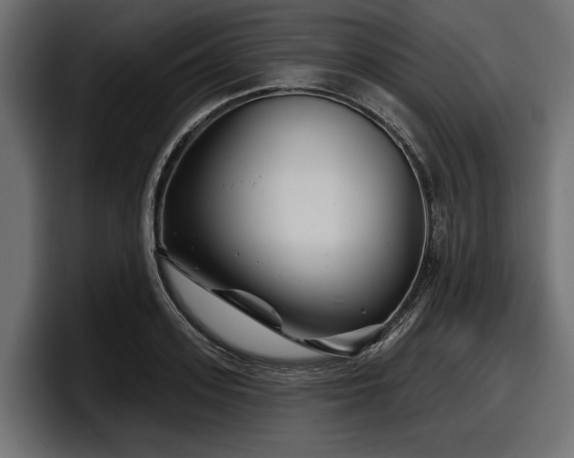 X0000097950939200803241151