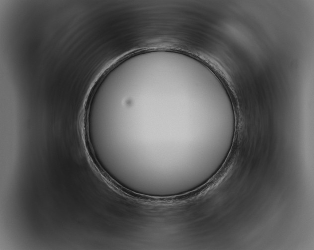 X0000097950941200803241151