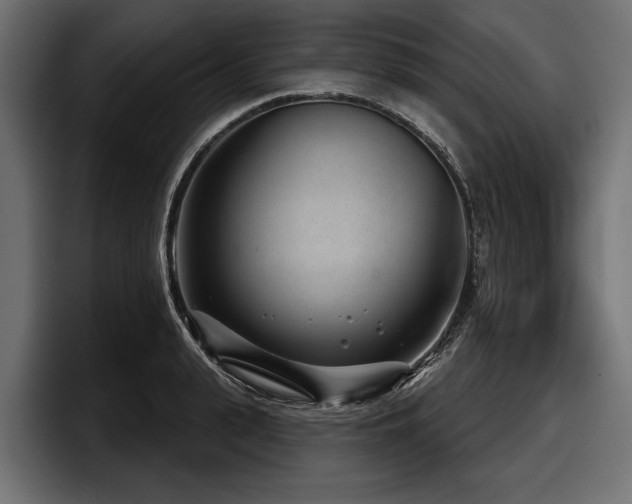 X0000097950943200803241151