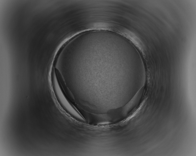 X0000097950944200803241151