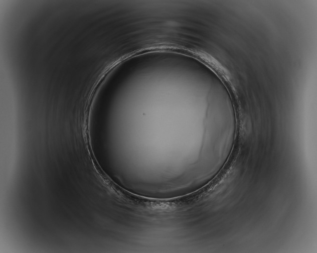 X0000097950945200803241151