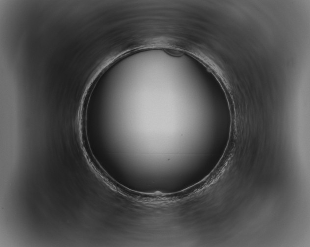 X0000097950949200803241151