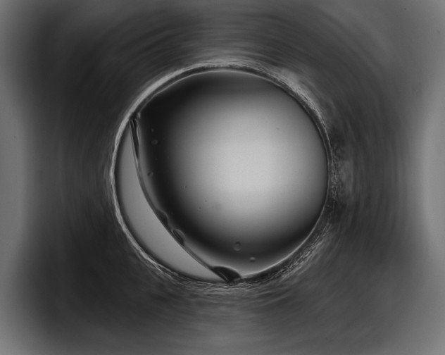 X0000097950951200803241151