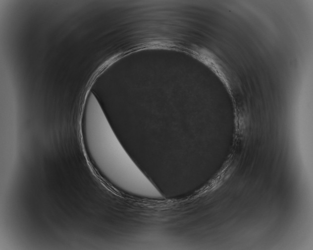 X0000097950954200803241151