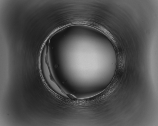X0000097950955200803241151