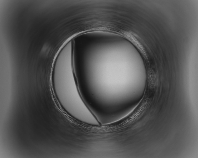 X0000097950956200803241151
