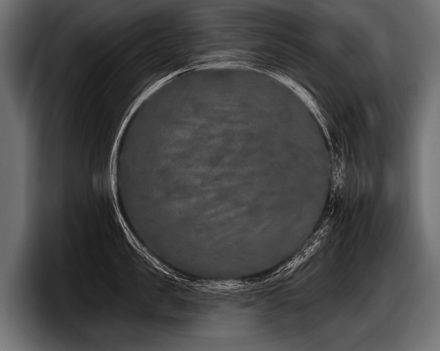 X0000097950957200803241151