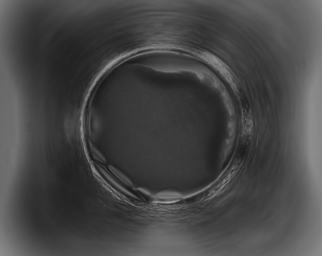 X0000097950958200803241151