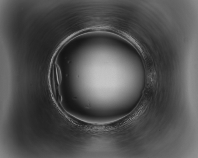 X0000097950959200803241151