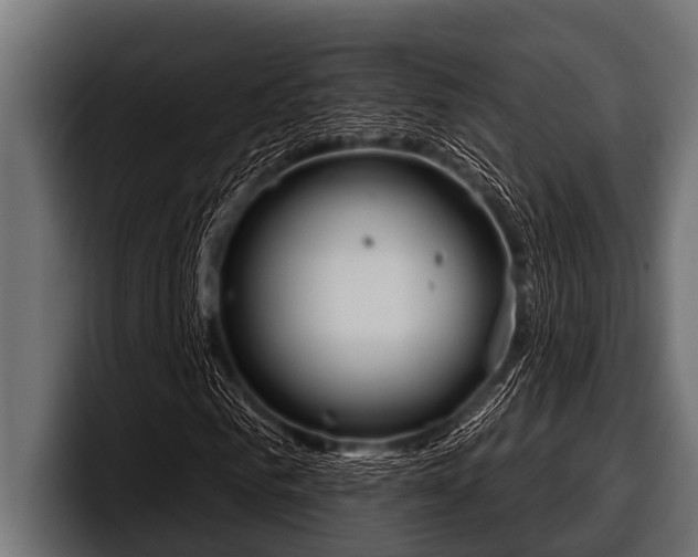 X0000097950961200803241150