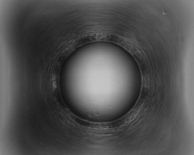 X0000097950962200803241150