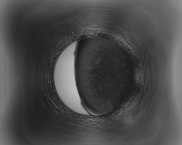 X0000097950964200803241150