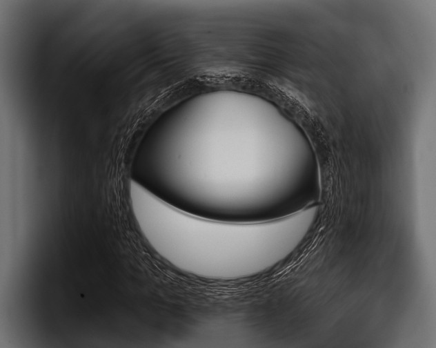 X0000097950965200803241150