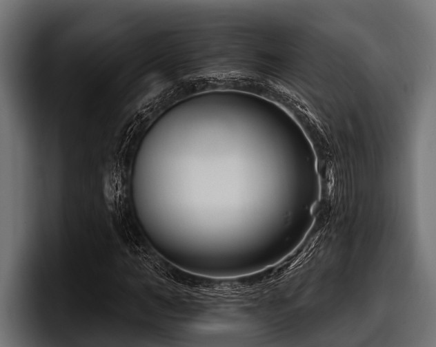 X0000097950966200803241150