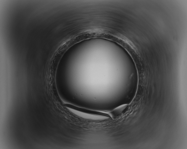 X0000097950967200803241150