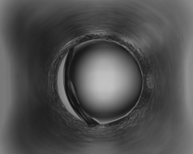 X0000097950968200803241150