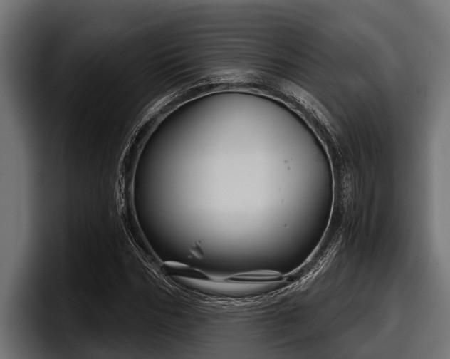 X0000097950970200803241150