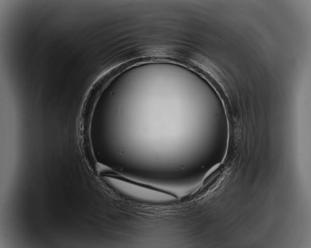 X0000097950971200803241150