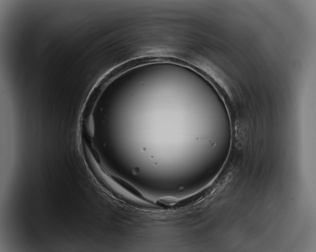 X0000097950972200803241150