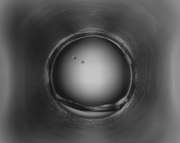 X0000097950973200803241150