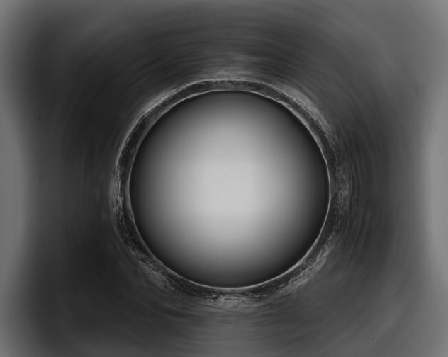 X0000097950974200803241150