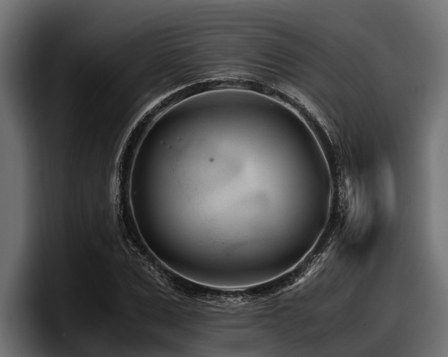 X0000097950975200803241150