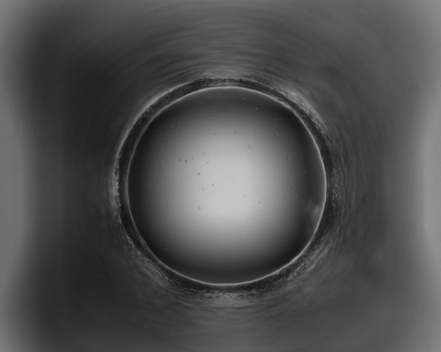 X0000097950976200803241150