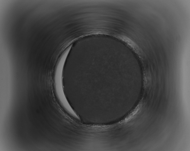 X0000097950977200803241150