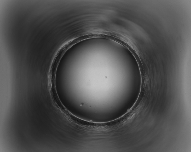 X0000097950979200803241150
